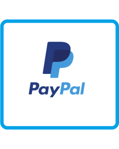 PayPal钱包代充100美元